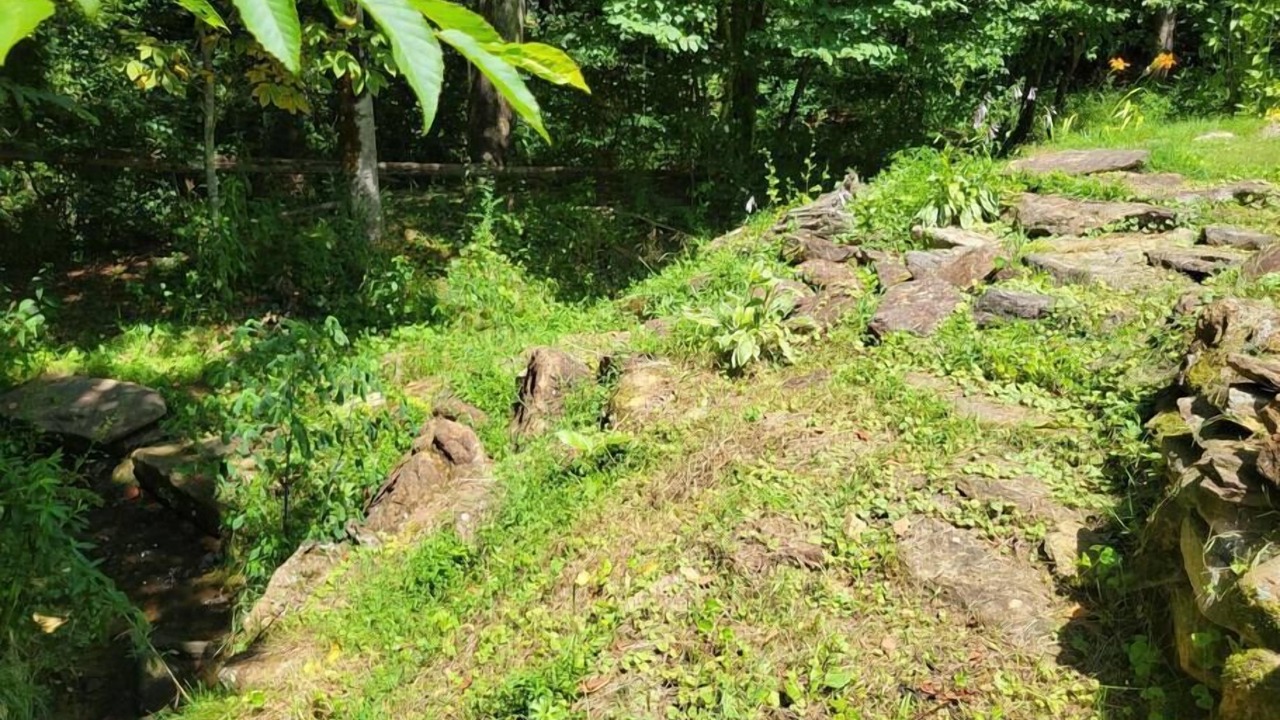 Photo of Outdoor in Sylva