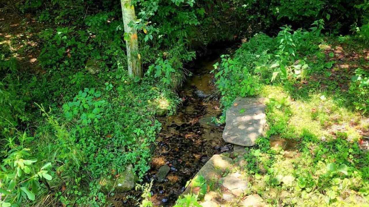 Photo of Outdoor in Sylva