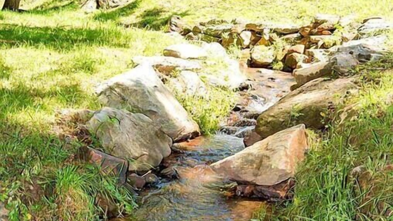 Photo of Outdoor in Sylva