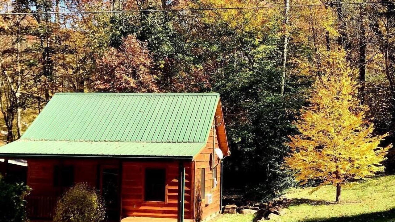 Photo of Outdoor in Sylva