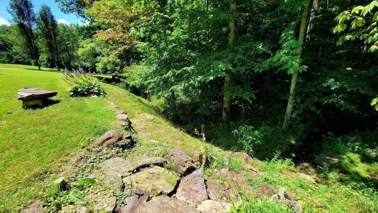 Photo of Outdoor in Sylva