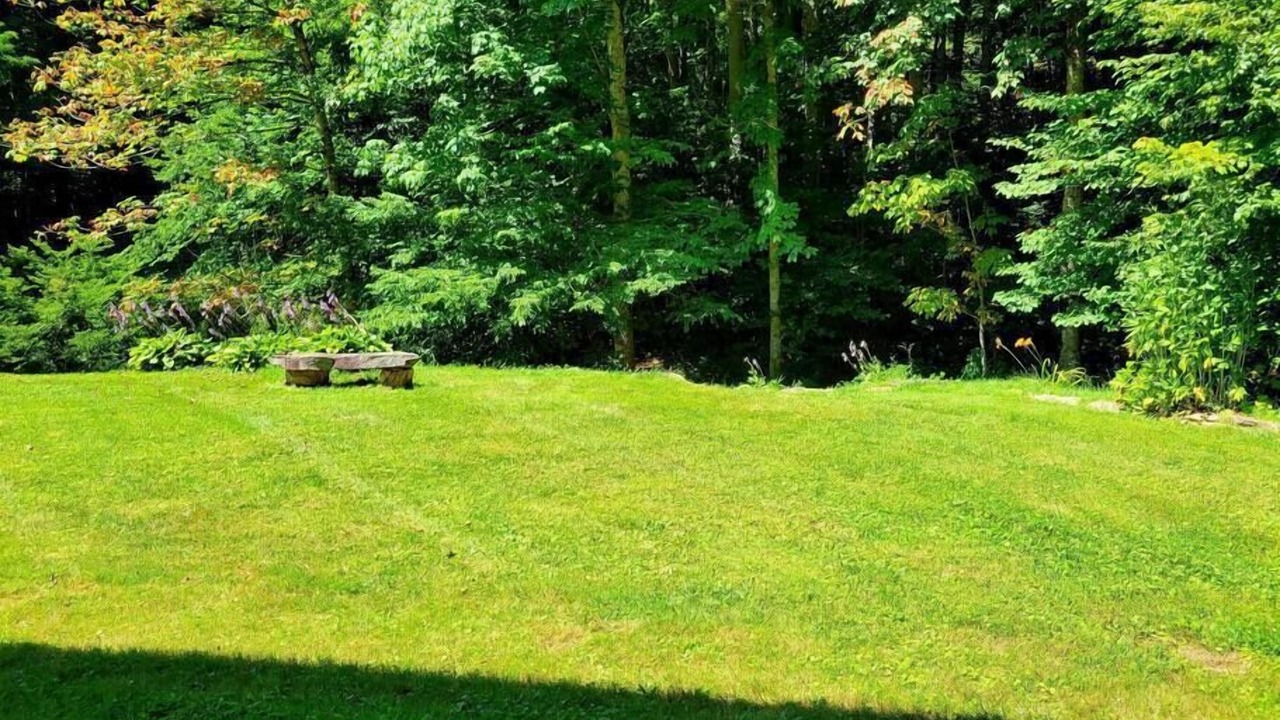 Photo of Outdoor in Sylva