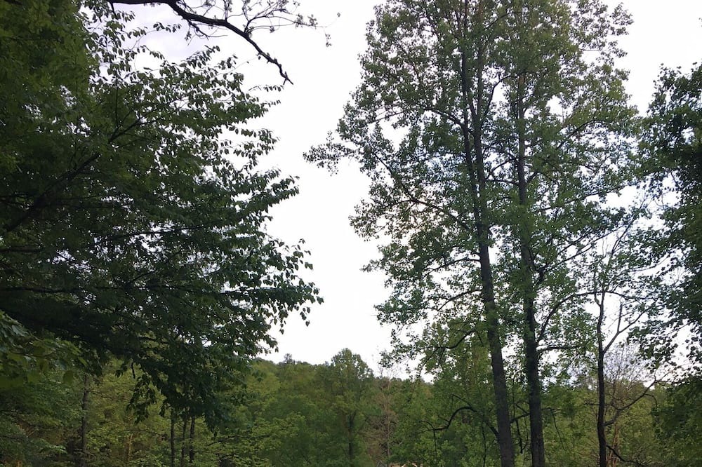 Photo of Outdoor in Brevard