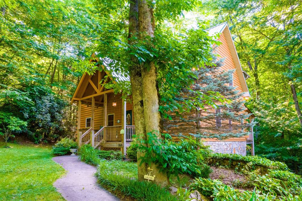 Photo of Outdoor in Maggie Valley