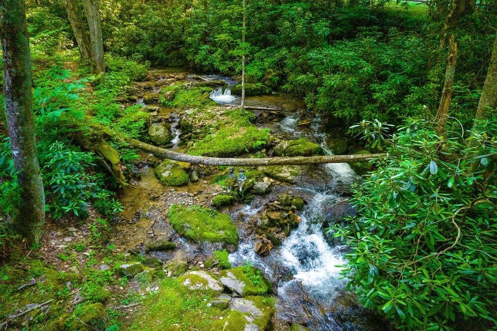 Photo of Outdoor in Maggie Valley