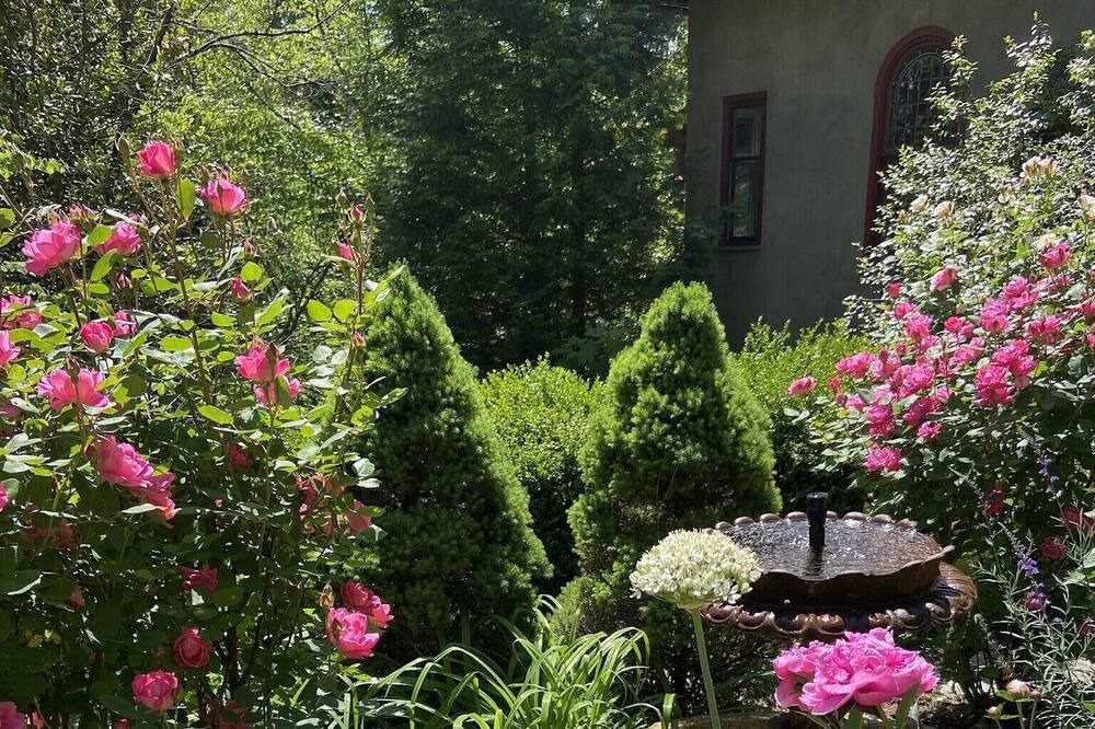 Photo of Outdoor in Laurel Park