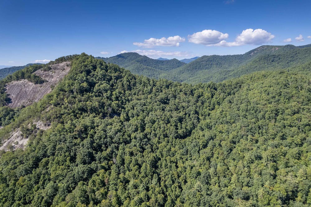 Photo of Others in Tuckasegee
