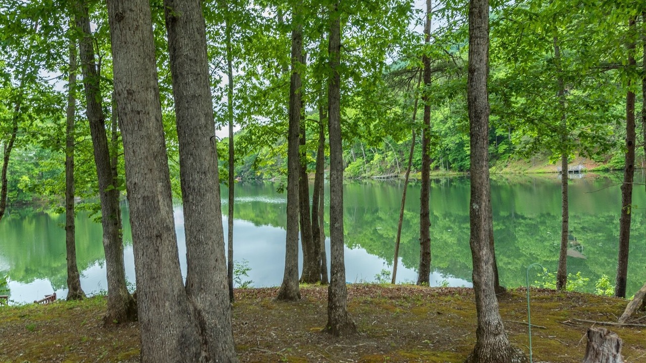 Photo of Outdoor in Lake Lure