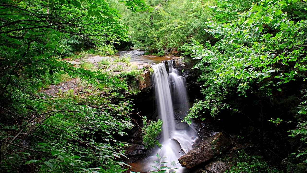 Photo of Others in Monteagle