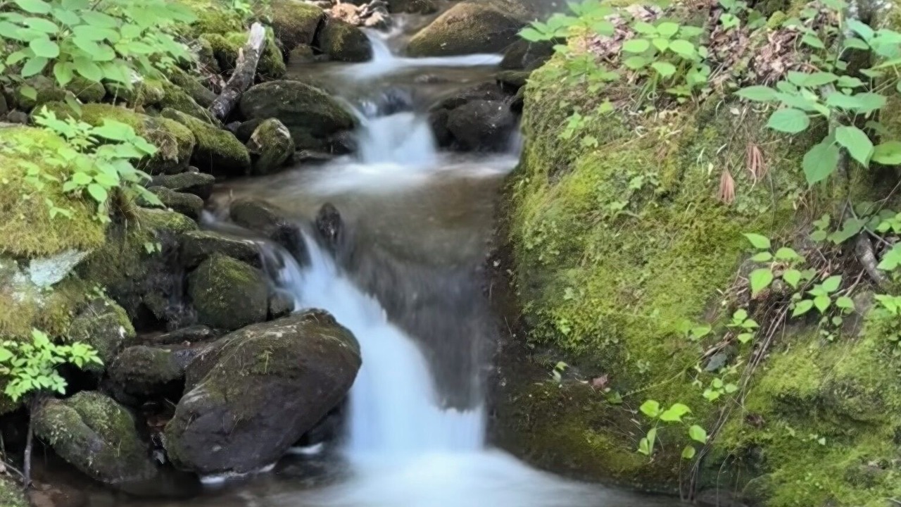 Photo of Outdoor in Bear Lake Reserve