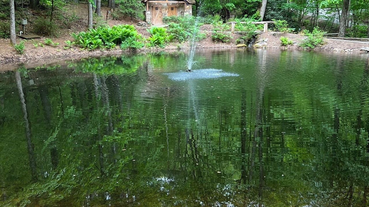 Photo of Outdoor in Bear Lake Reserve