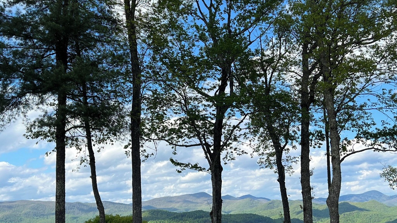 Photo of Others in Bear Lake Reserve
