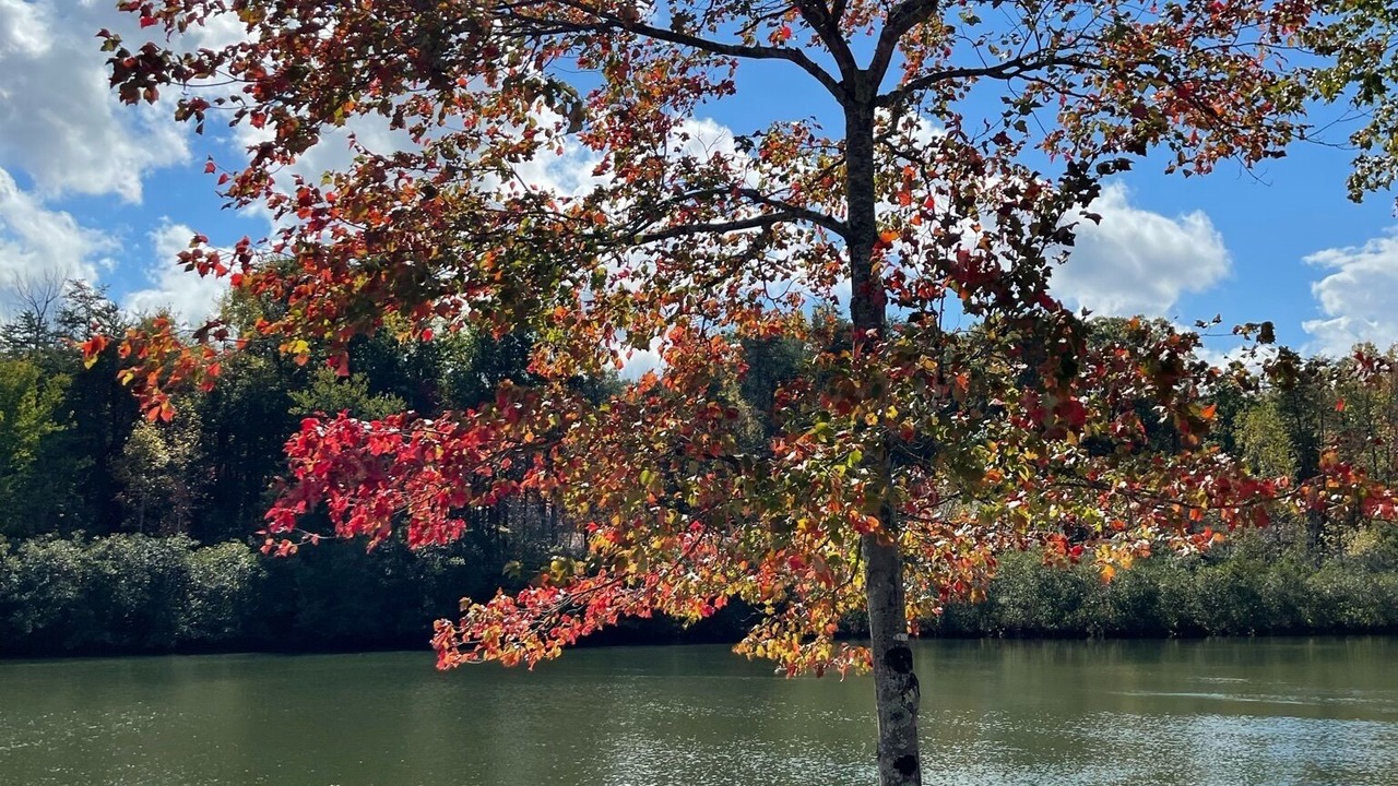 Photo of Outdoor in Westport