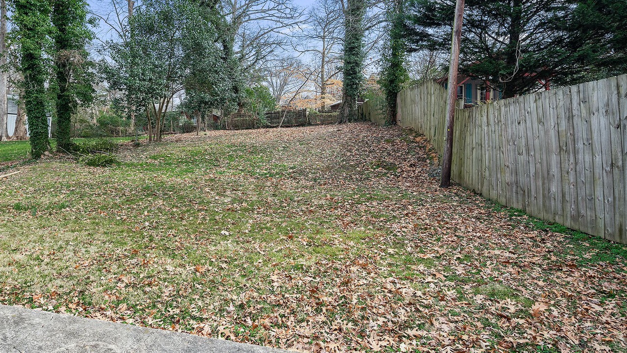 Photo of Outdoor in Plaza Midwood