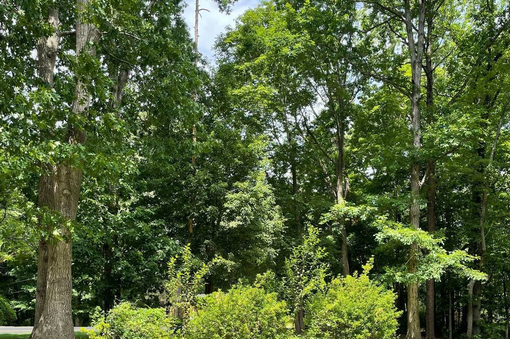 Photo of Outdoor in Fuquay-Varina