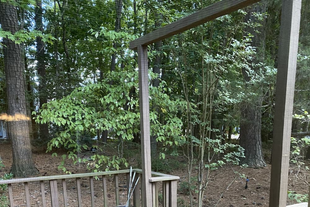 Photo of Outdoor in North Raleigh