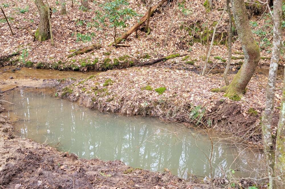 Photo of Others in Hayesville