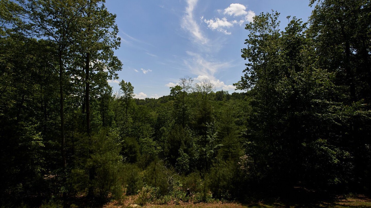 Photo of Outdoor in Apple Ridge