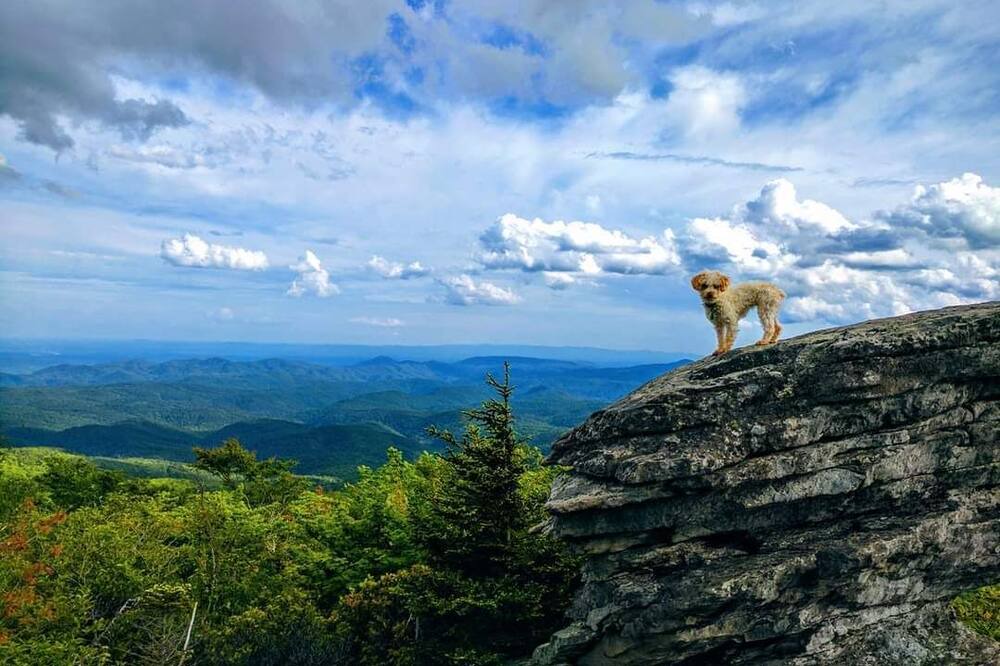 Photo of Others in Bear Den