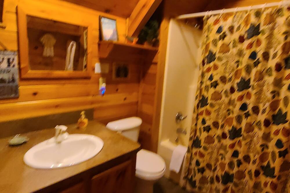 Photo of Bathroom in Bear Den