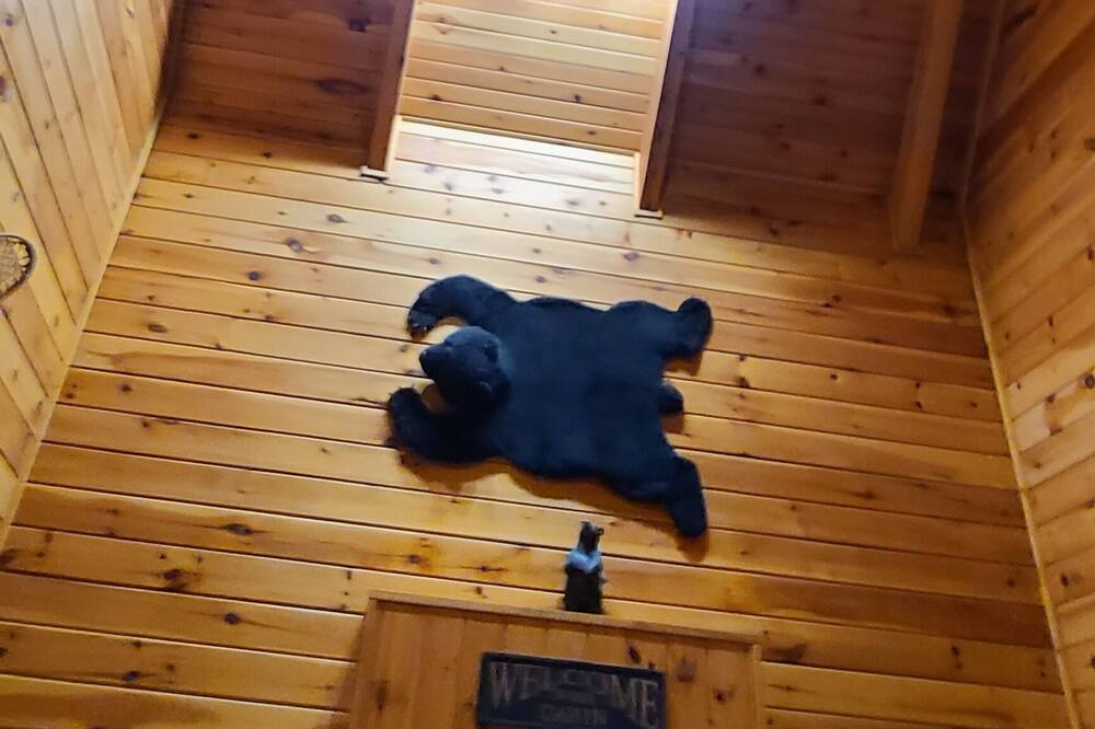 Photo of Bedroom in Bear Den