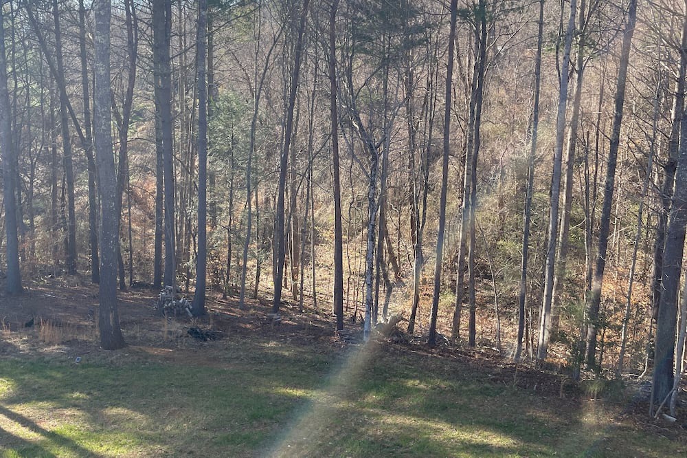 Photo of Outdoor in Weaverville