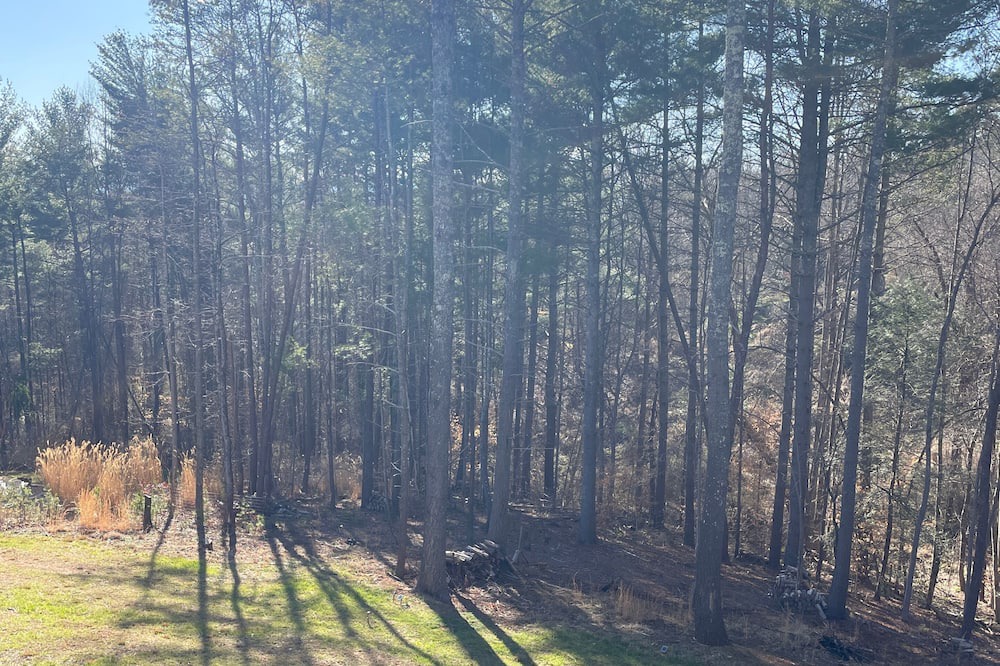Photo of Outdoor in Weaverville