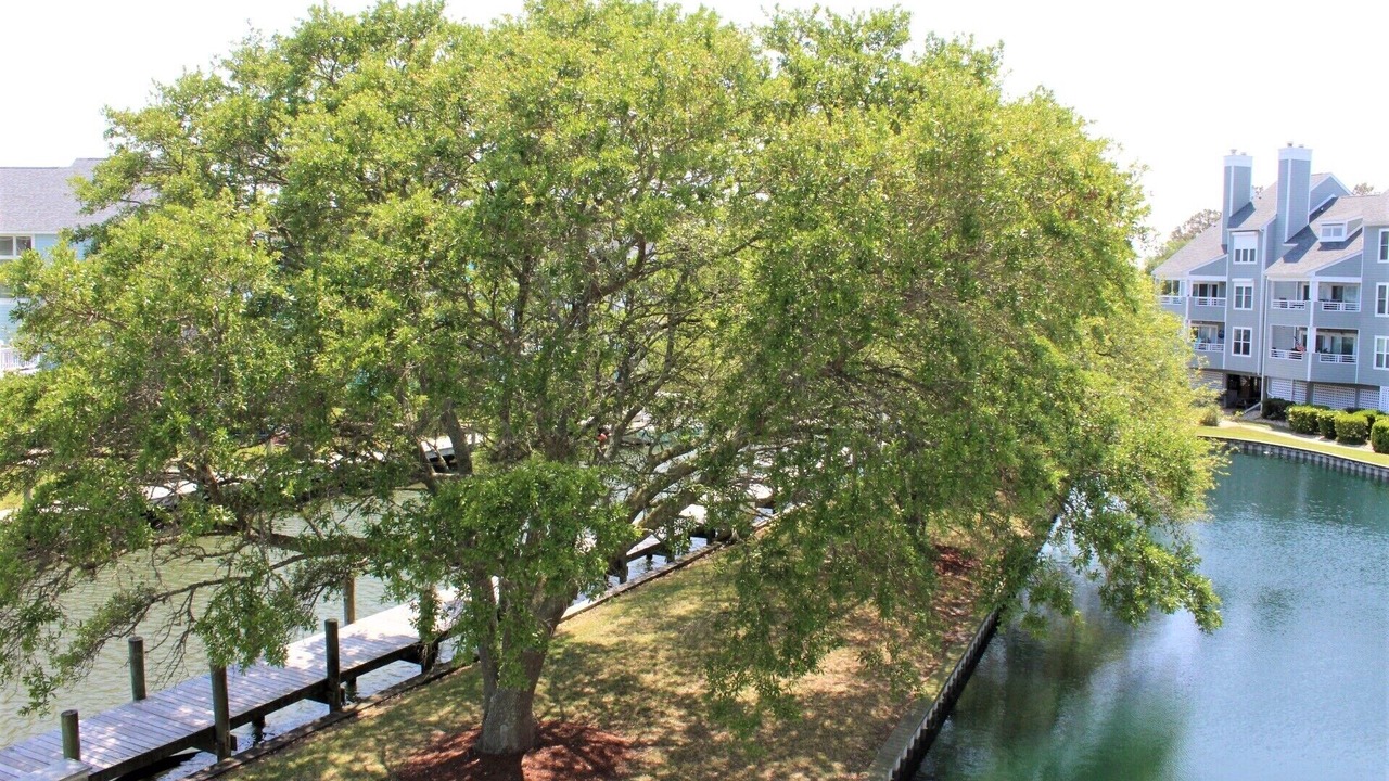 Photo of Outdoor in Manteo