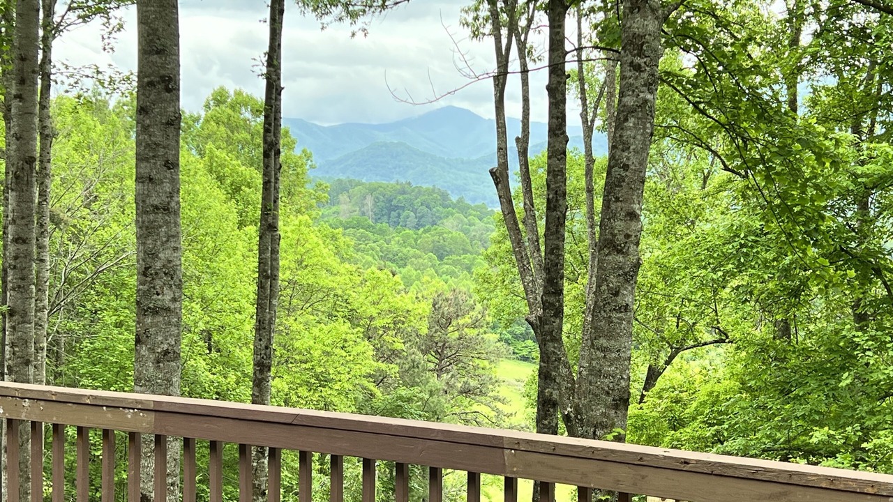 Photo of Outdoor in Maple Springs