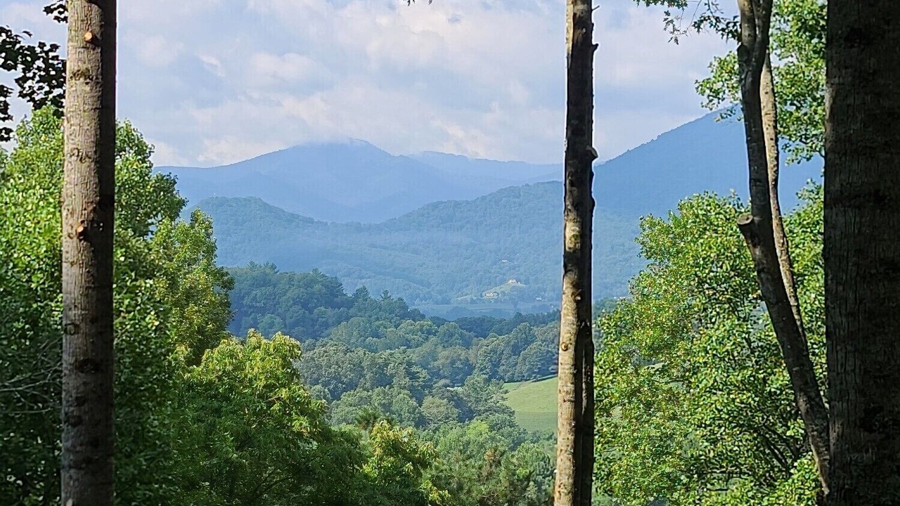 Photo of Outdoor in Maple Springs