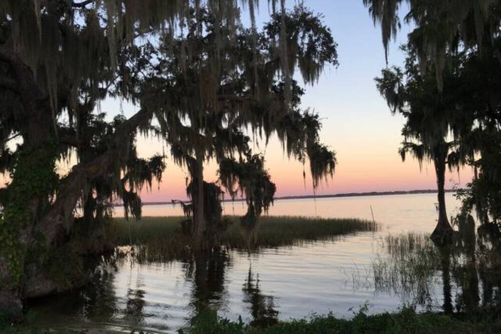 Photo of Outdoor in Palmetto Dunes