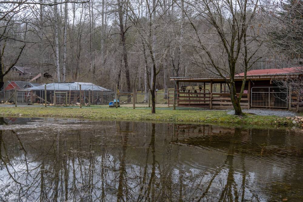 Photo of Outdoor in Murphy