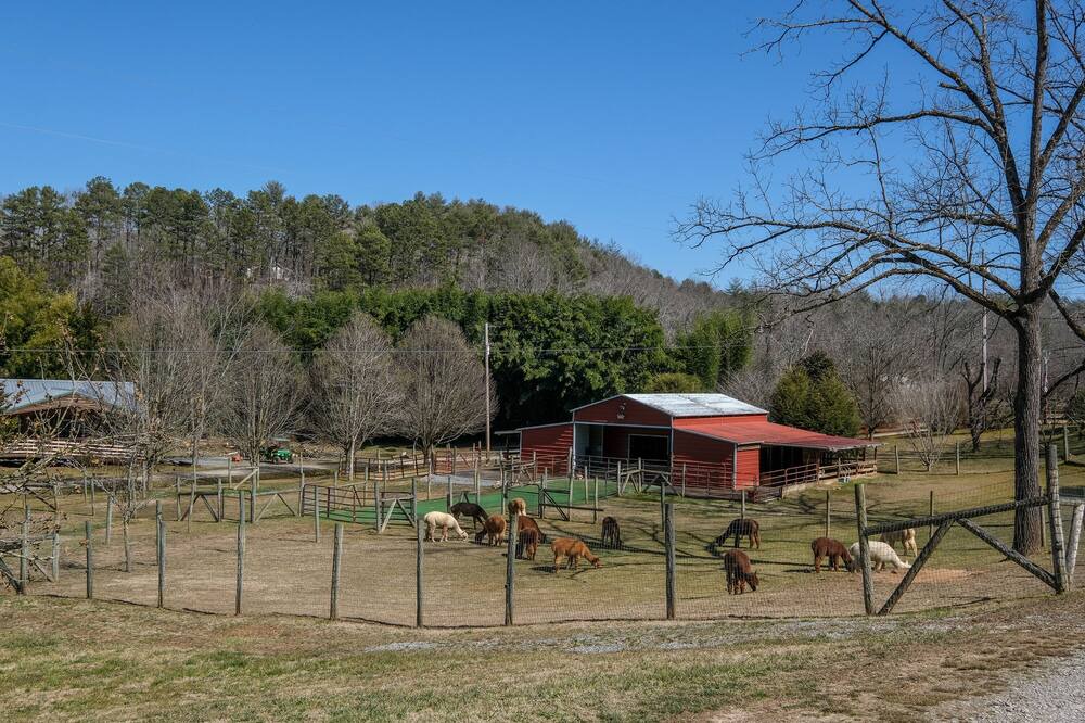 Photo of Others in Murphy