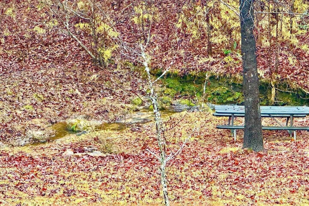 Photo of Outdoor in Bostic