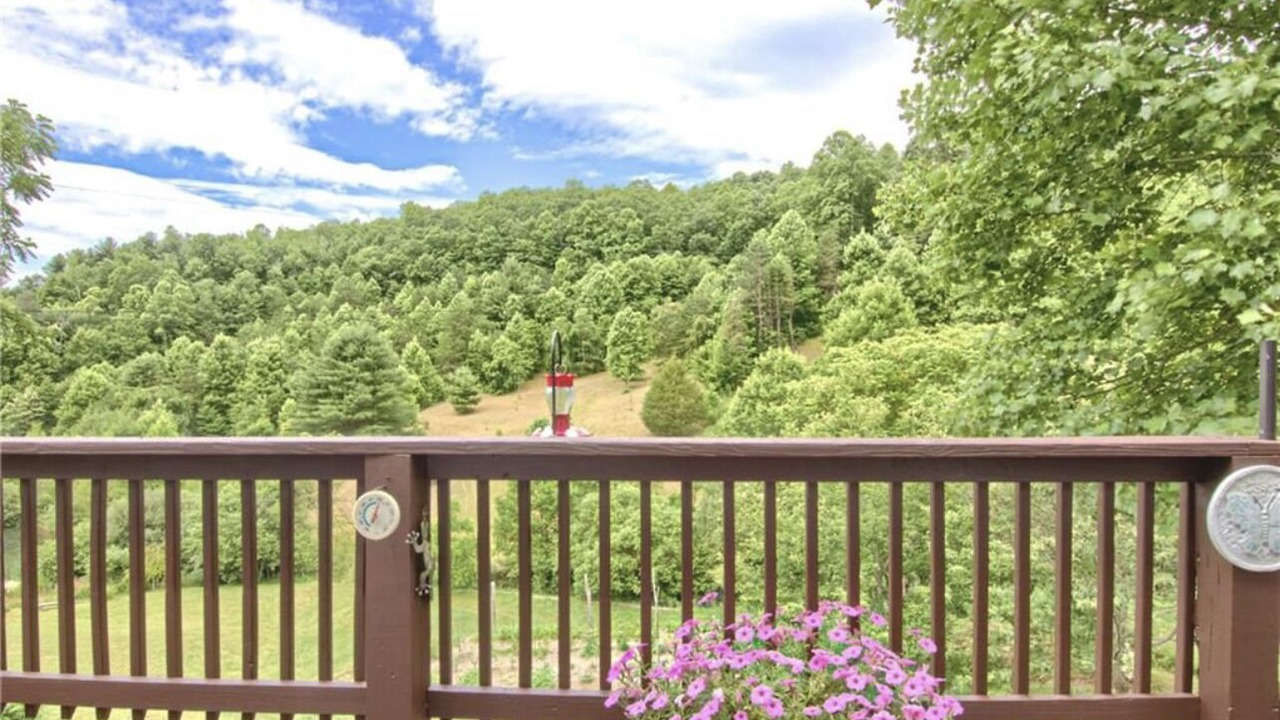 Photo of Outdoor in Hendersonville
