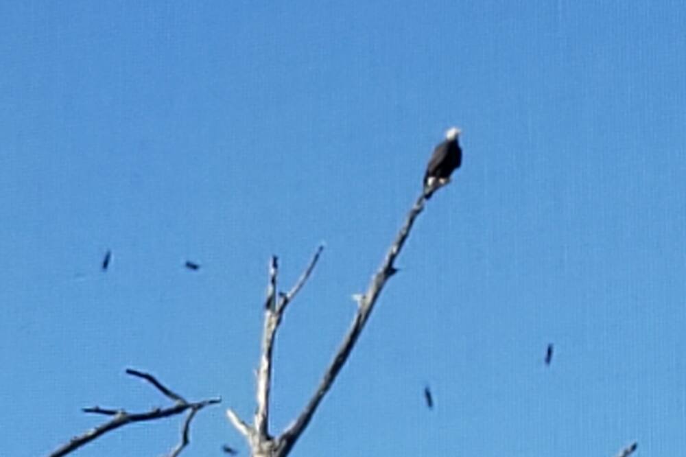Photo of Others in Durants Neck
