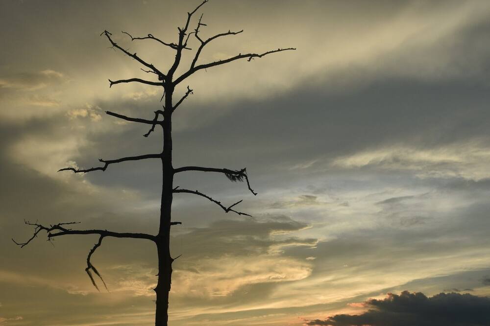 Photo of Others in Durants Neck