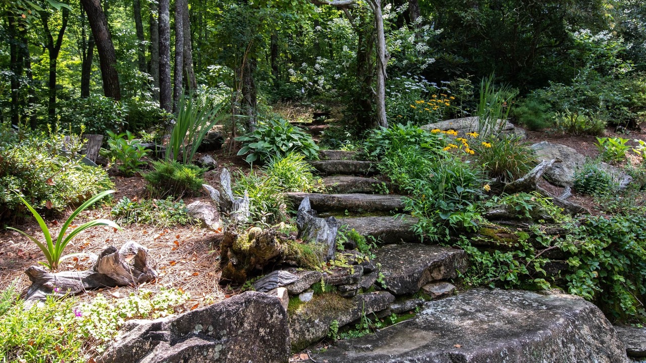 Photo of Outdoor in Lake Toxaway