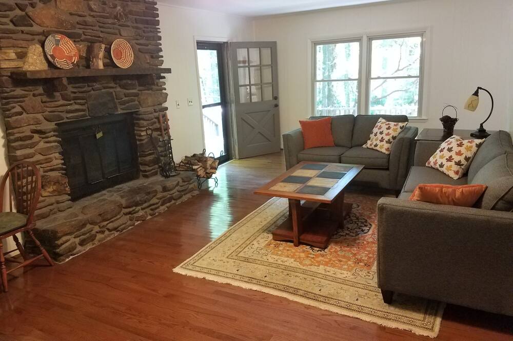 Photo of Livingroom in Brevard