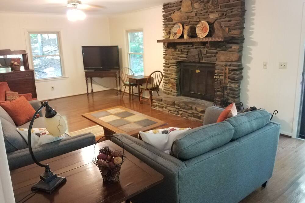 Photo of Livingroom in Brevard