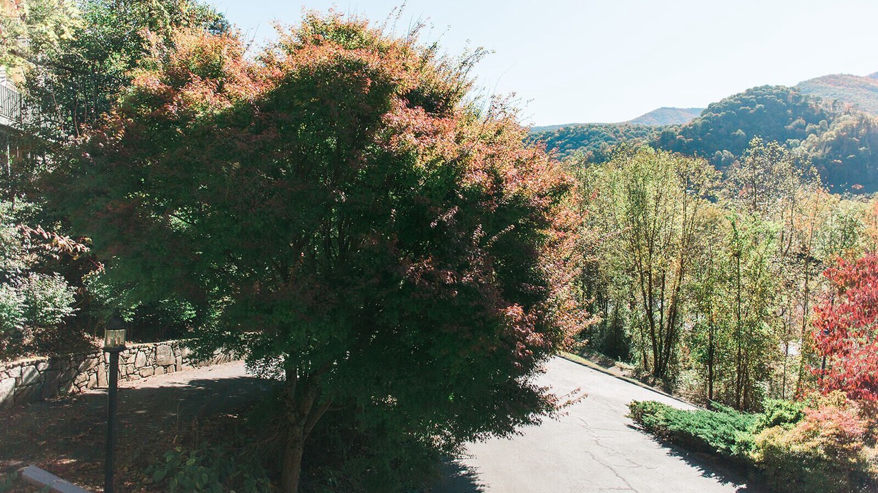 Photo of Outdoor in Valley Creek Run