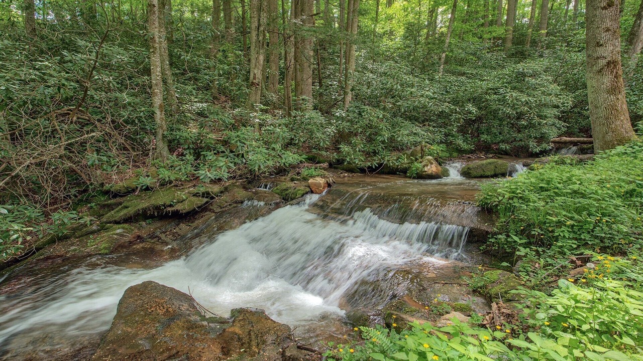 Photo of Outdoor in Waynesville