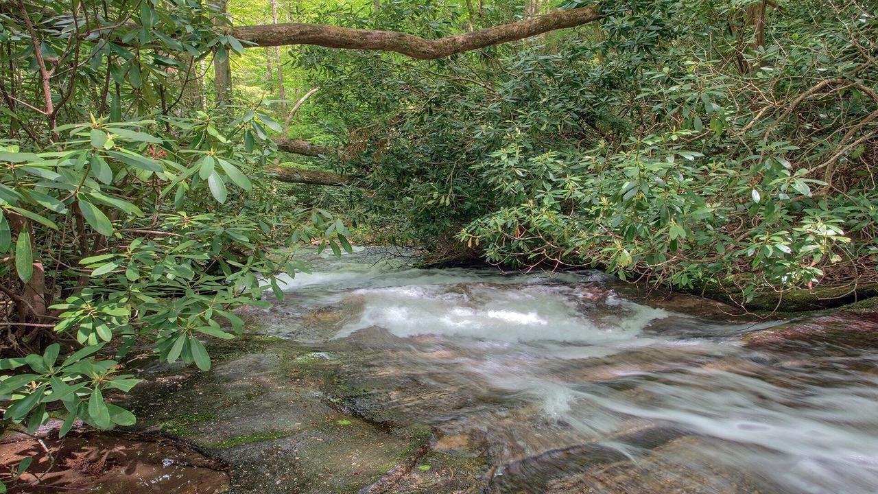 Photo of Outdoor in Waynesville