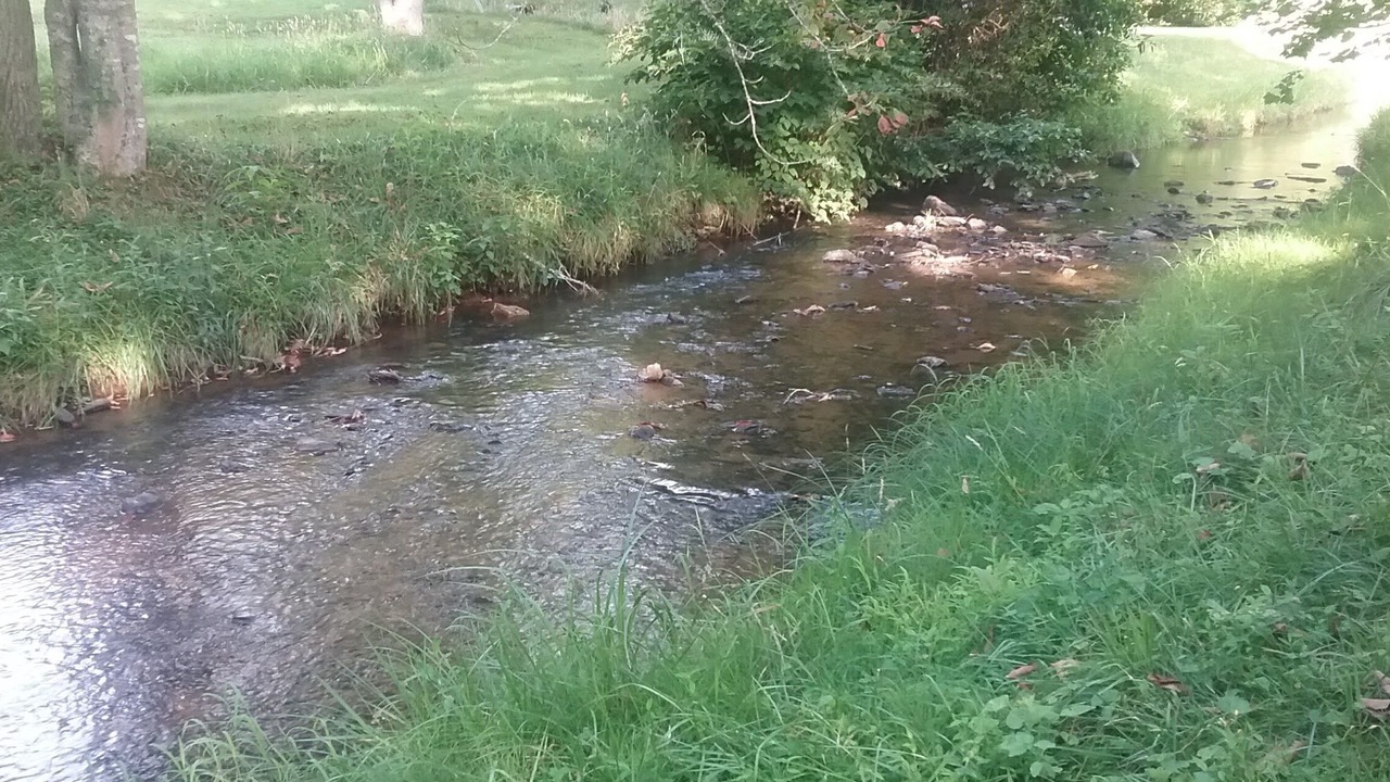 Photo of Outdoor in Spruce Pine