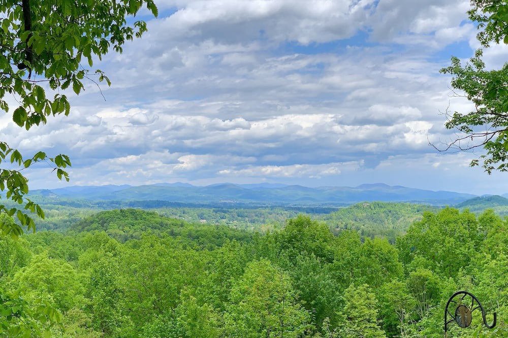 Photo of Others in Hendersonville
