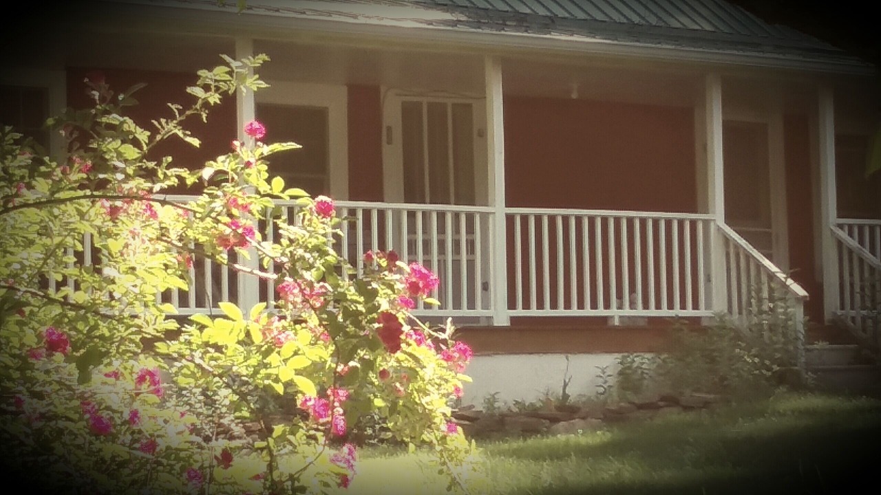 Photo of Outdoor in Spruce Pine