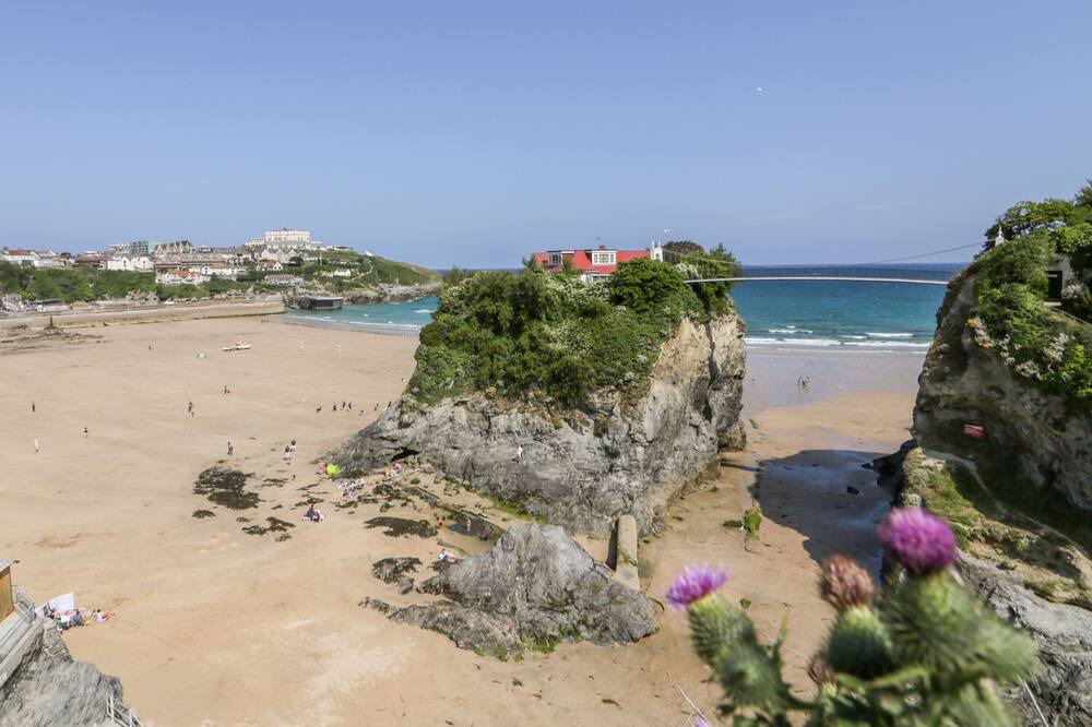 Photo of Others in Newquay City Centre