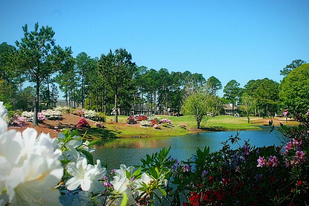 Photo of Outdoor in Calabash