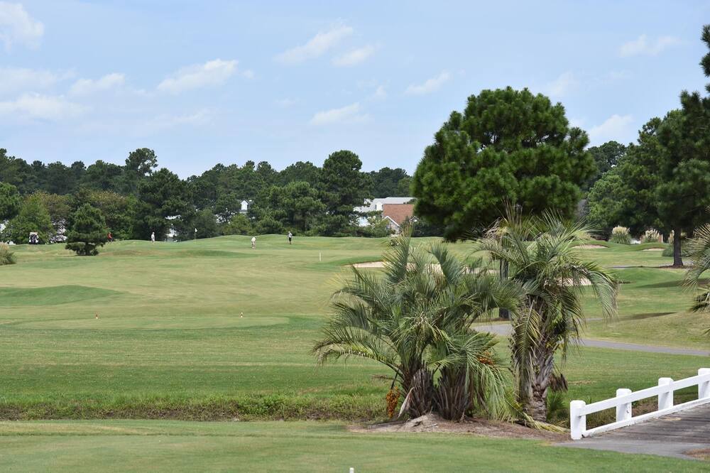 Photo of Outdoor in Calabash