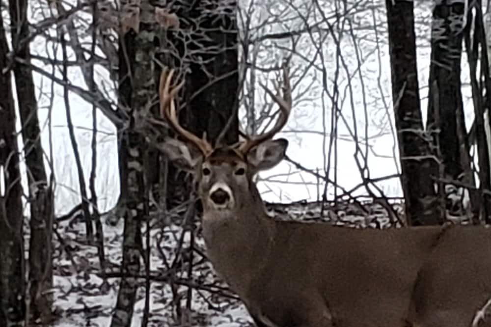 Photo of Outdoor in Beech Mountain